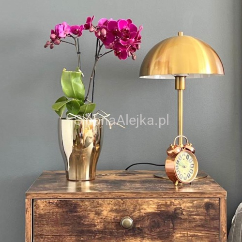 Osłonka z Ceramiki Szkliwionej Wenecja Złota ϕ 14cm 2.jpg