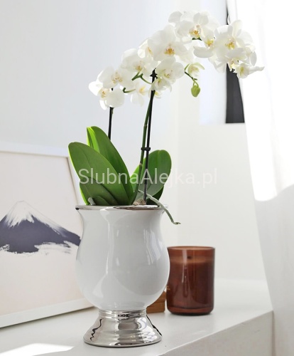 Osłonka z Ceramiki Szkliwionej Amfora Glamour Biało-Srebrny 21 cm 3.jpg
