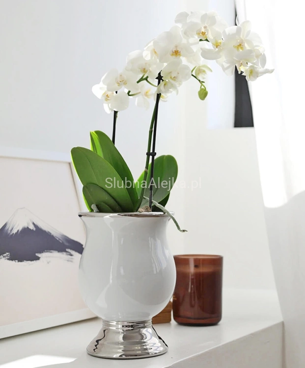 Osłonka z Ceramiki Szkliwionej Amfora Glamour Biało-Srebrny 21 cm 3.jpg