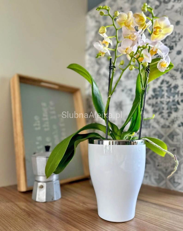 Osłonka z Ceramiki Szkliwionej Wenecja Biało-Srebrna ϕ 14cm.3.jpg