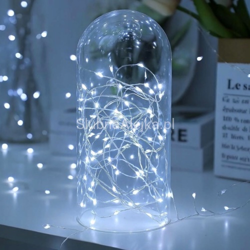 Lampki Drucik Świetlny 240 LED Zimne na Prąd.jpg