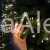 Lampki choinkowe Cluster Twinkle Micro Wire Lights Lumineo.jpg