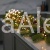 Lampki Choinkowe Cluster Twinkle Micro Wire Lights2.jpg