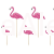 toppery flamingi.jpg