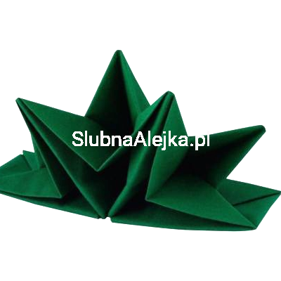 serwetki forrest green.jpg