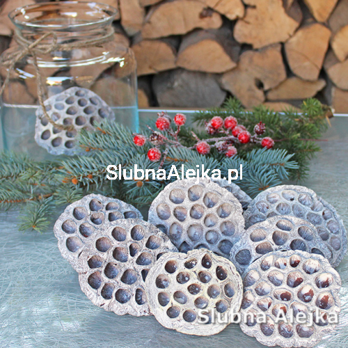 Lotos Dekoracyjny Srebrny.jpg