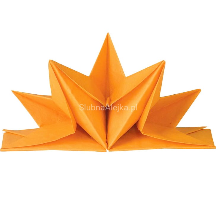 serwetki papierowe pomarańcz.jpg