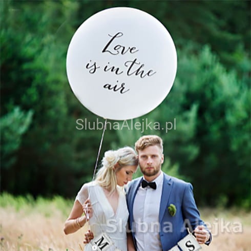 Balon Olbrzym Love is in the air.jpg