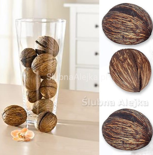 susz egzotyczny minolta naturalna .jpg