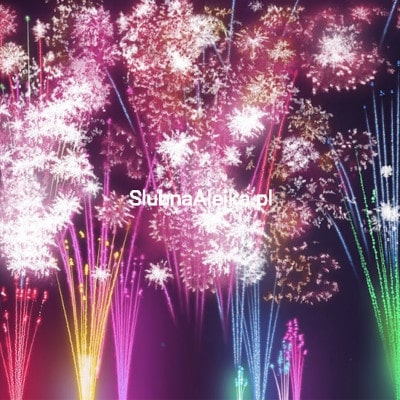 "Królewskie Sny" Pokaz Sztucznych Ogni na Wesele 49 Strzałów