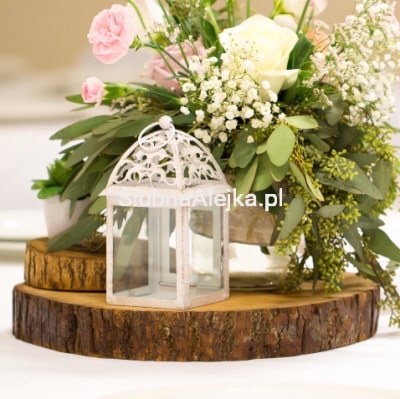 Plaster Drewna Szlifowany Naturalny ϕ15 cm