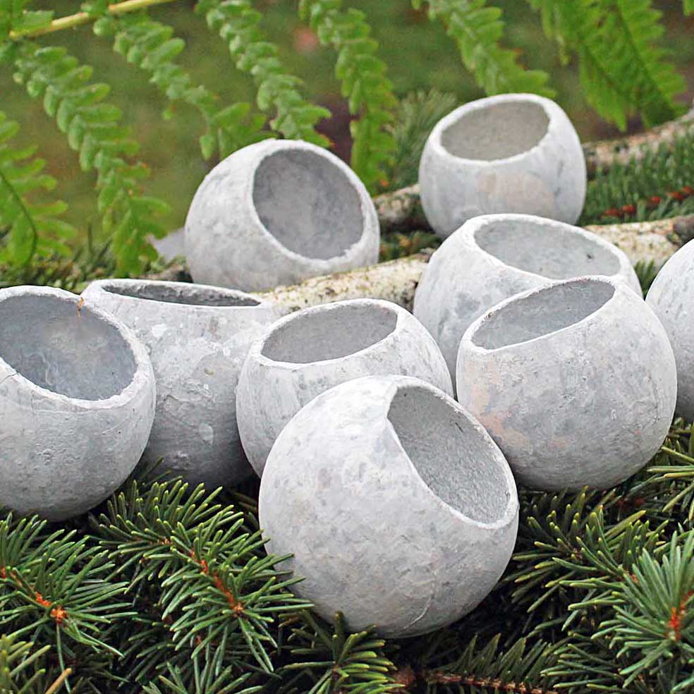 Susz Egzotyczny Bell Cup Szary 10szt.