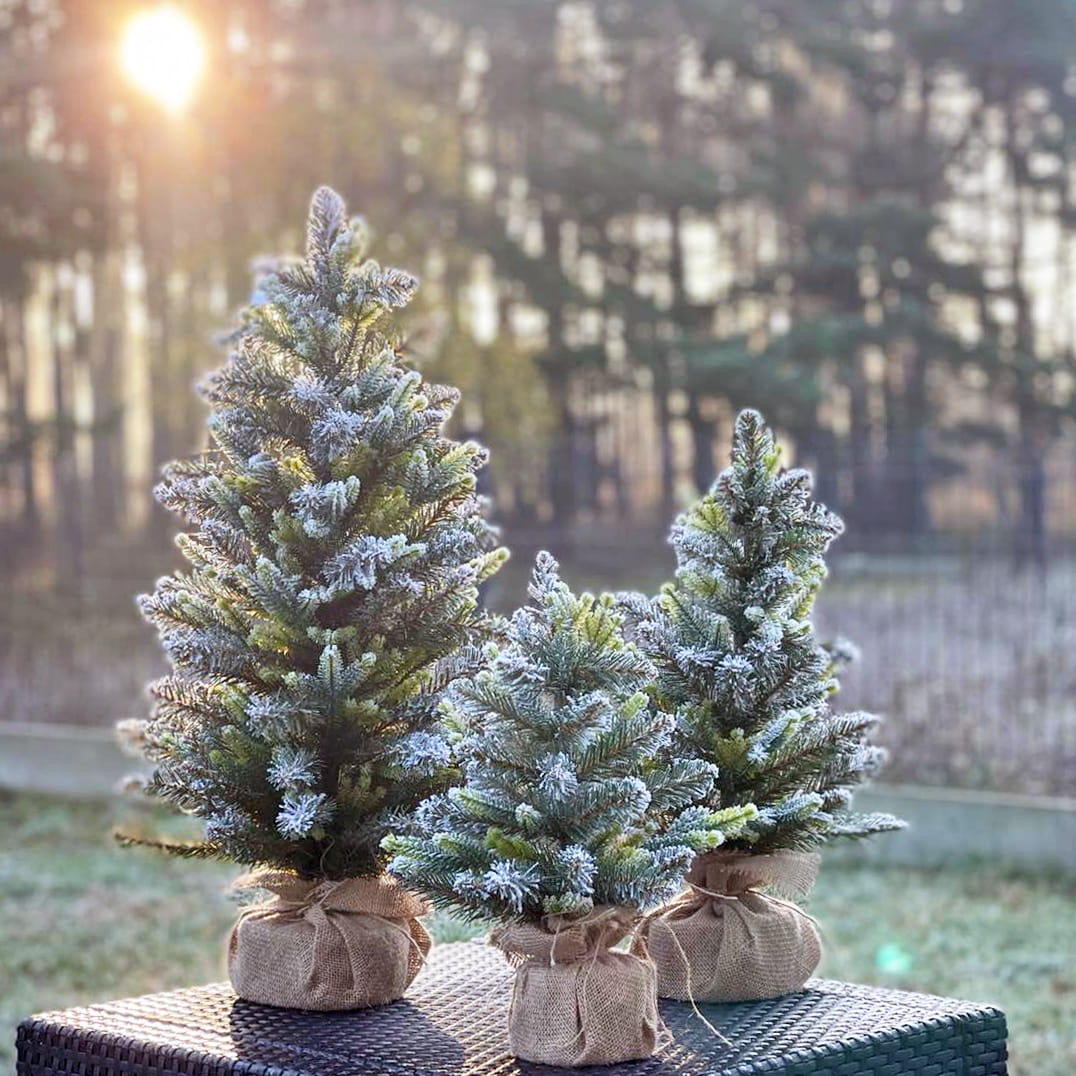 Choinka Sztuczna Cyprys Frost w Jucie 70cm